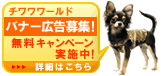 バナー広告募集!